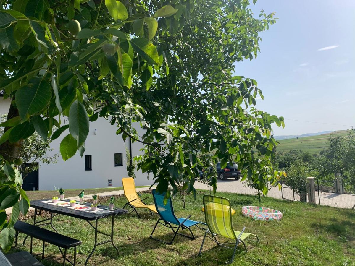 Viktoria House Villa โอดอร์เฮอู เซกุยเอสก์ ภายนอก รูปภาพ