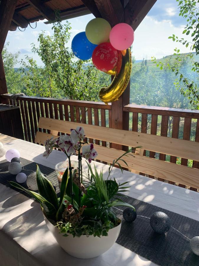 Viktoria House Villa โอดอร์เฮอู เซกุยเอสก์ ภายนอก รูปภาพ