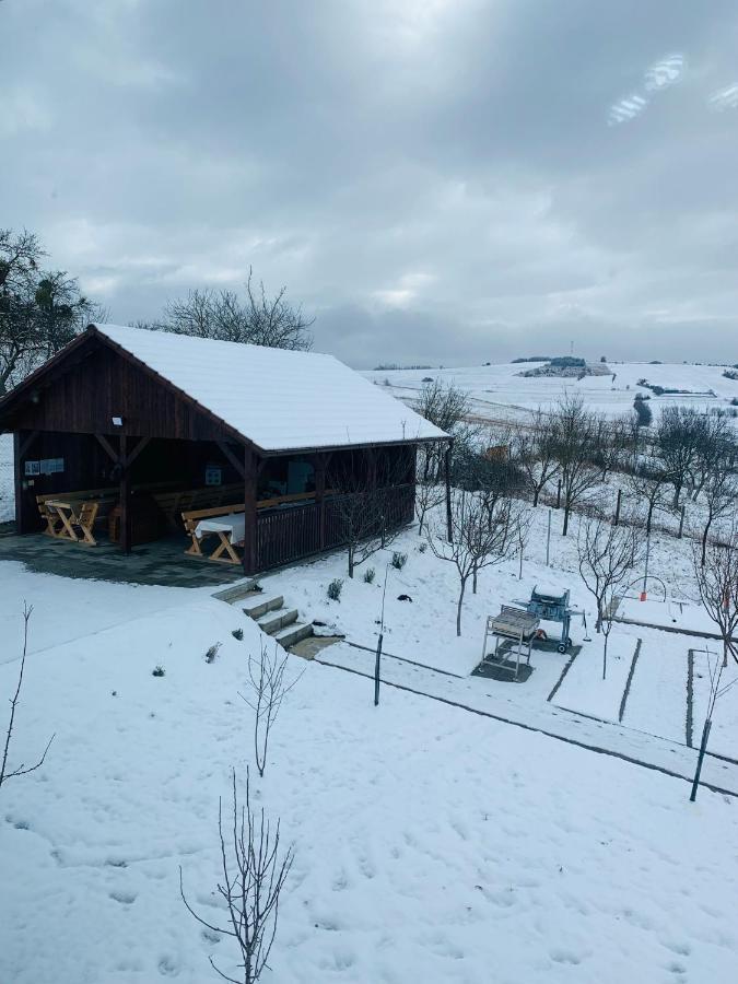Viktoria House Villa โอดอร์เฮอู เซกุยเอสก์ ภายนอก รูปภาพ